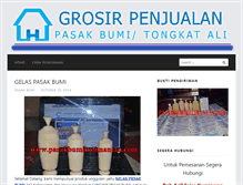 Tablet Screenshot of pasakbumikalimantan.com
